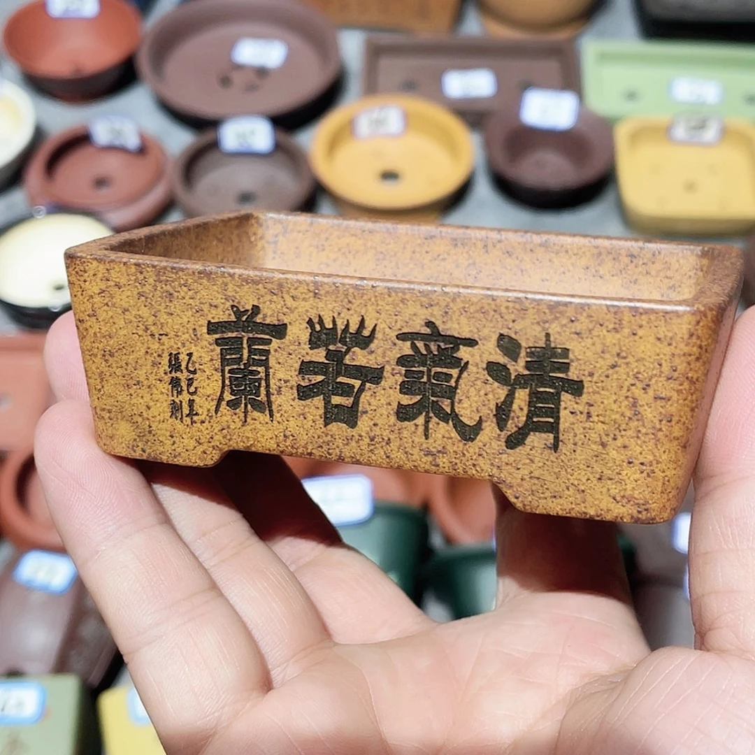 紫砂小盆8.8*6*2cmmmm