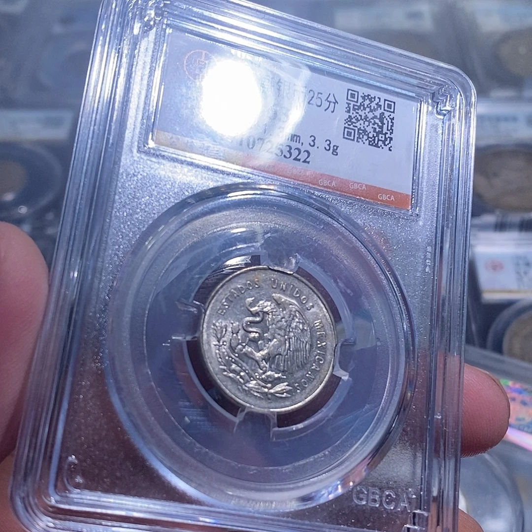 银天道臻选墨西哥太平鹰5322