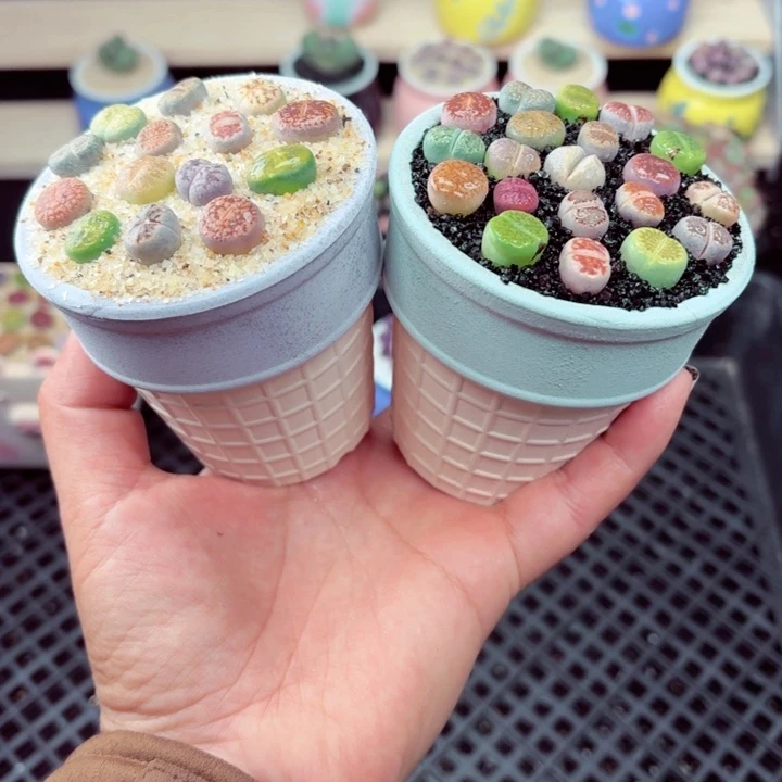 503零下地区记得拍保温箱