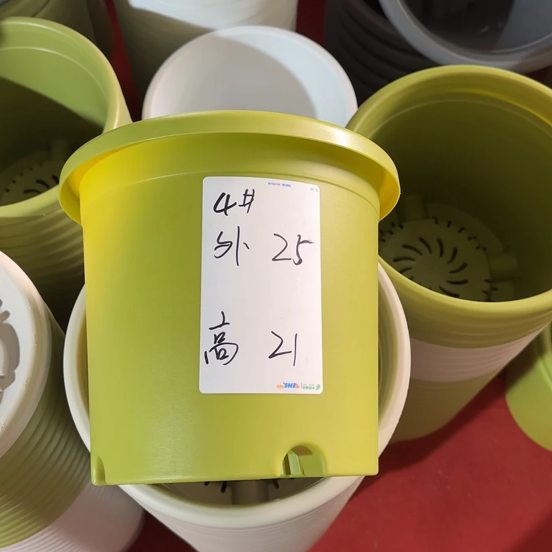 树脂微瑕4号5个带托，