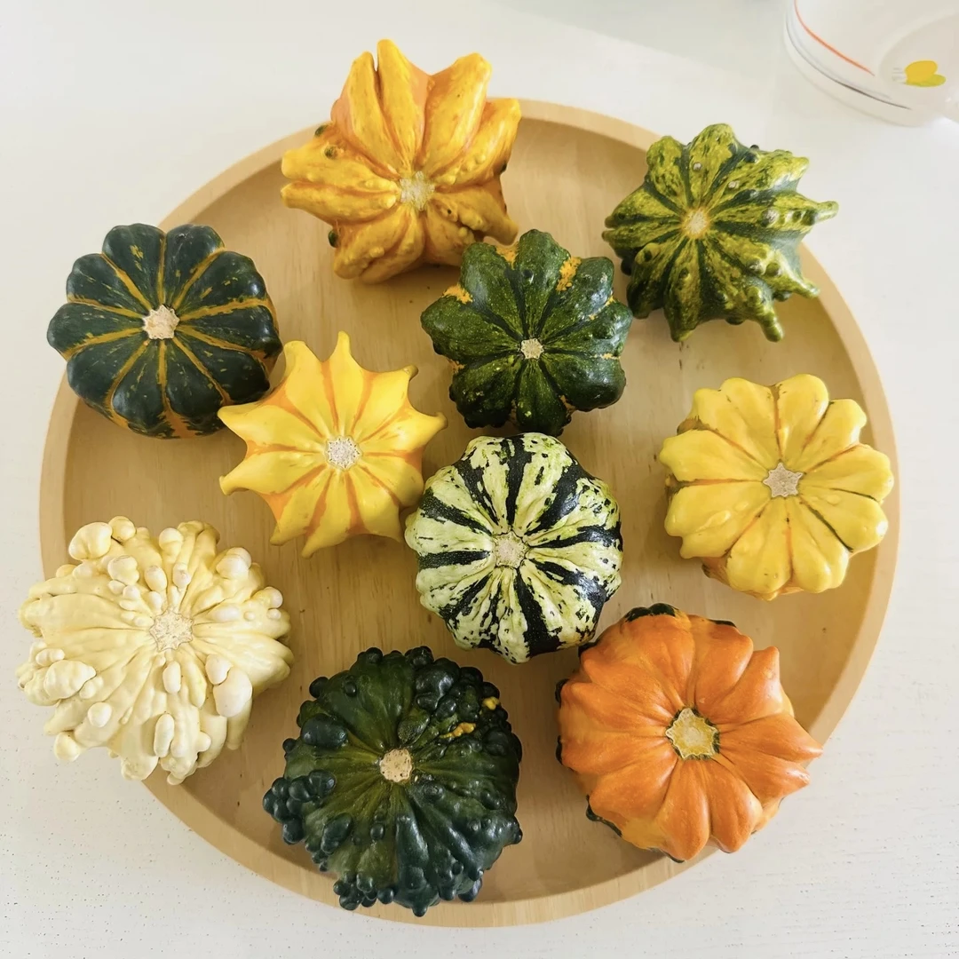 351墨西哥七彩疙瘩葫芦摆件高端把玩天然原皮云南基地直采