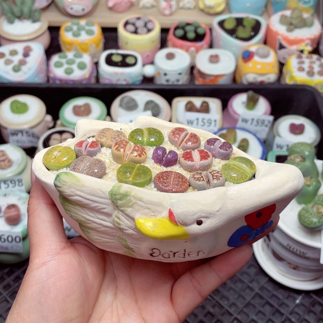 w1603 -零下地区拍保温箱-15支持寄养