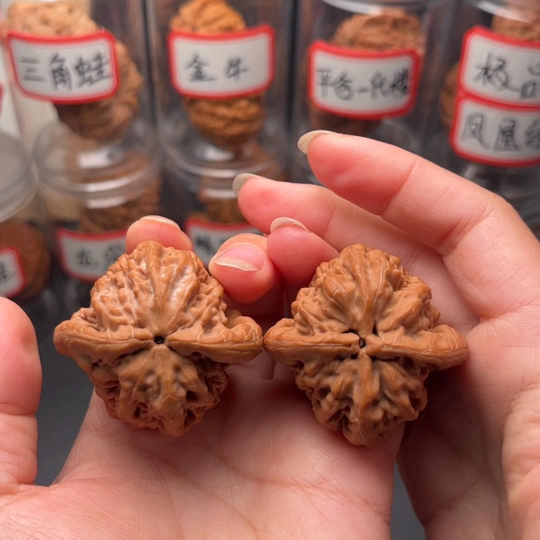 读***者文玩核桃把件43金公子