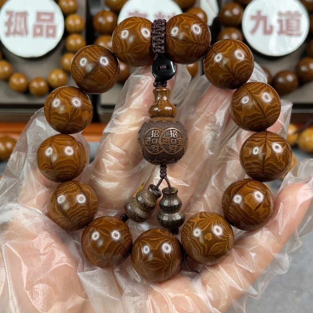 六道木枯树， 毕业1.8