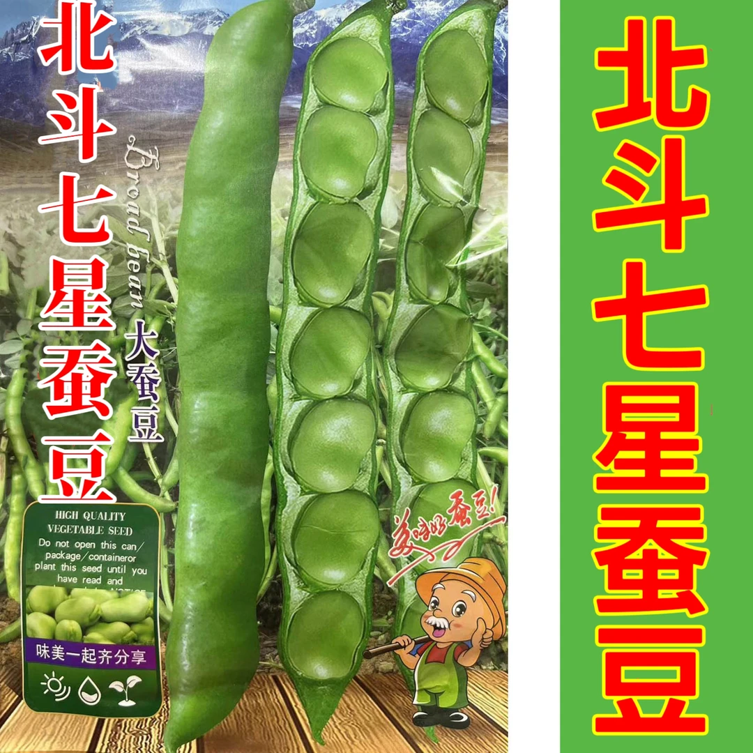 北斗七星蚕豆种子特大高产绿宝胡豆种籽春秋冬季早熟耐寒播种蔬菜