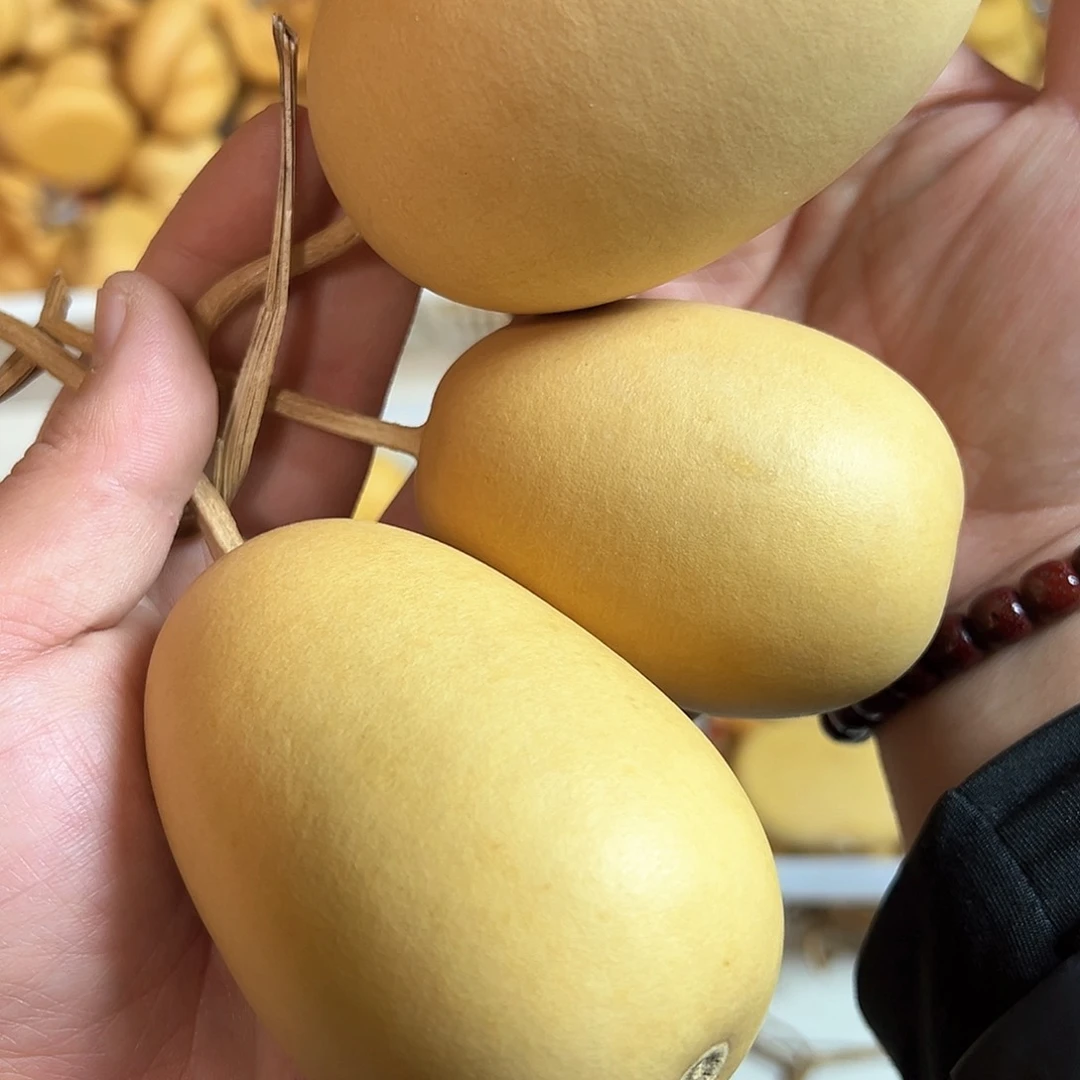 用****9精品冬瓜葫芦嗷嗷里