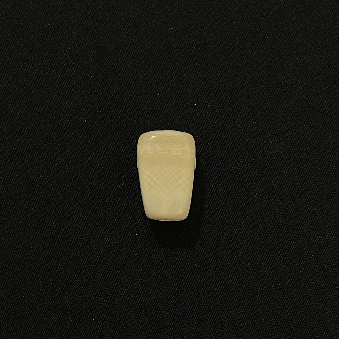 PT395 一字三通 只做天然猛犸牙