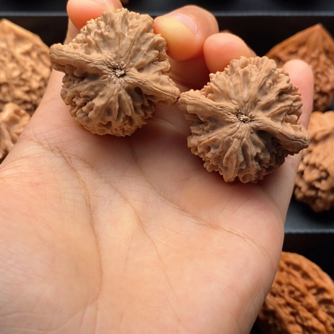 把件文玩核桃?****?秦岭文玩核桃