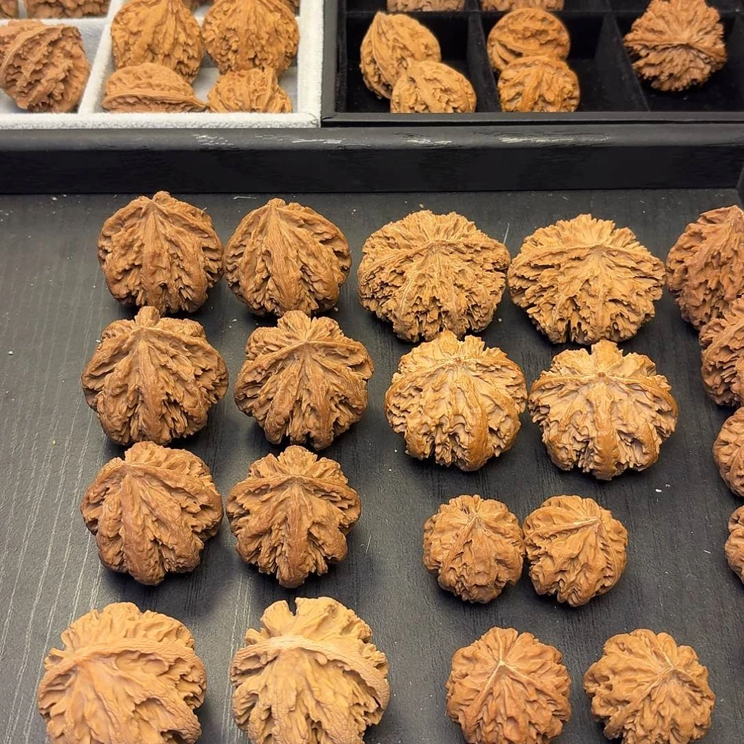 核桃突突突突我好