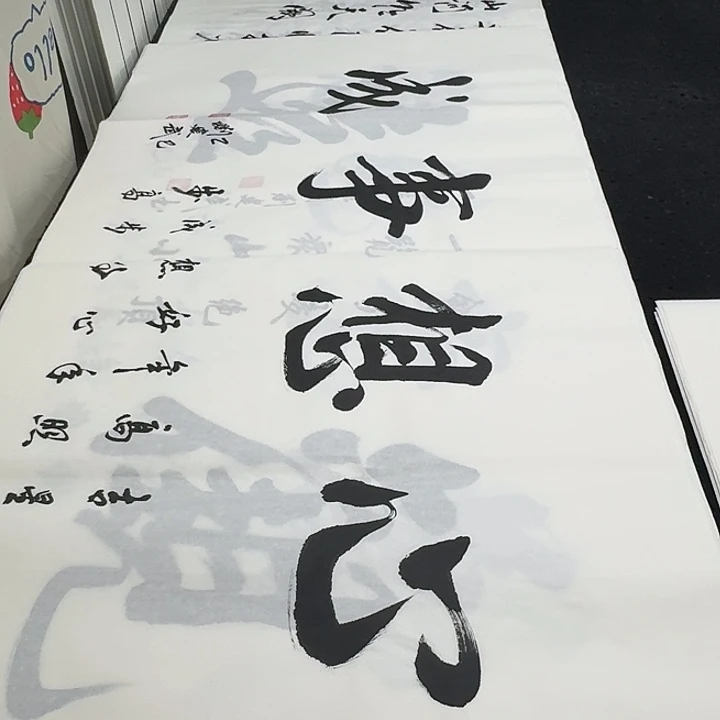 书法老师精品行书