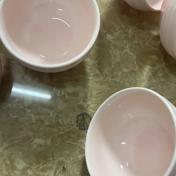 新骨瓷陶瓷陶瓷794