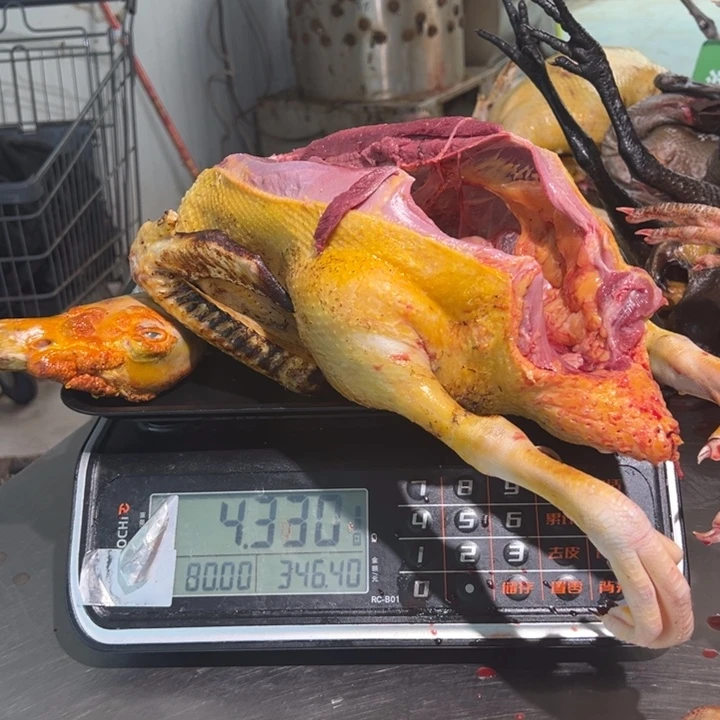 鸭子食用农产品中国大陆路*焱