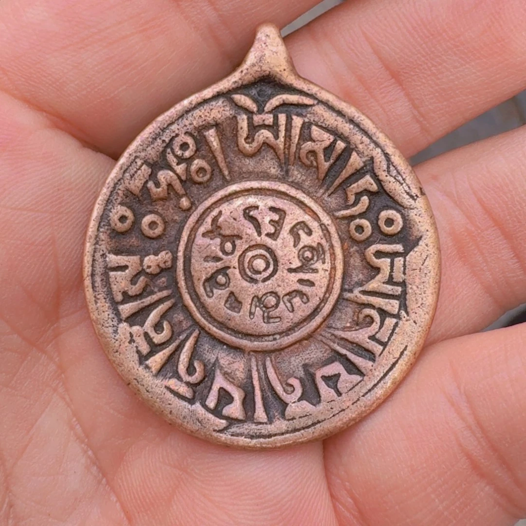 好看的喜欢带回家