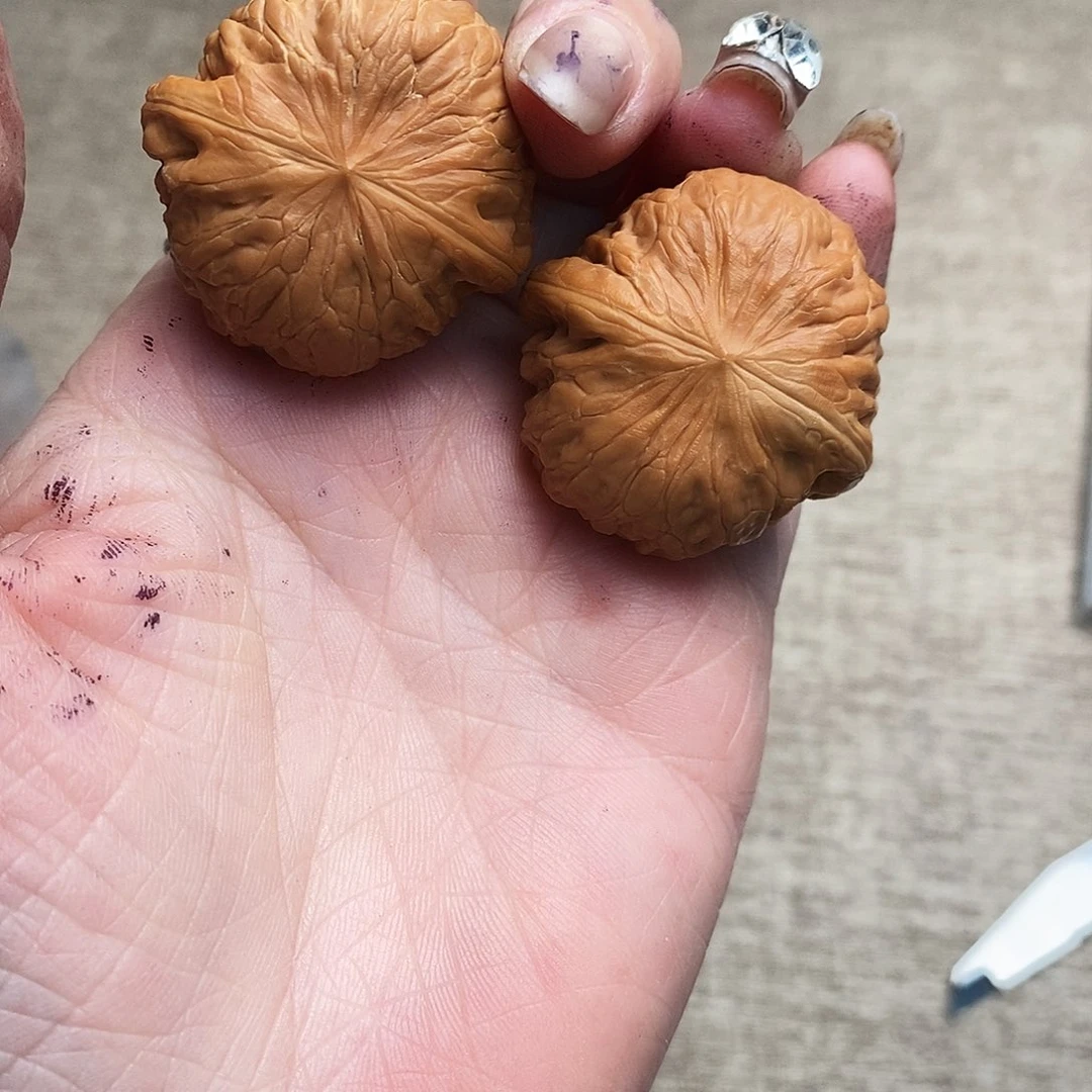 S***g大叶紫檀（黑酸枝木类）