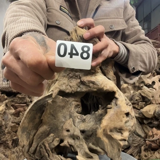 顺紫砂啦啦啦啦啦啦