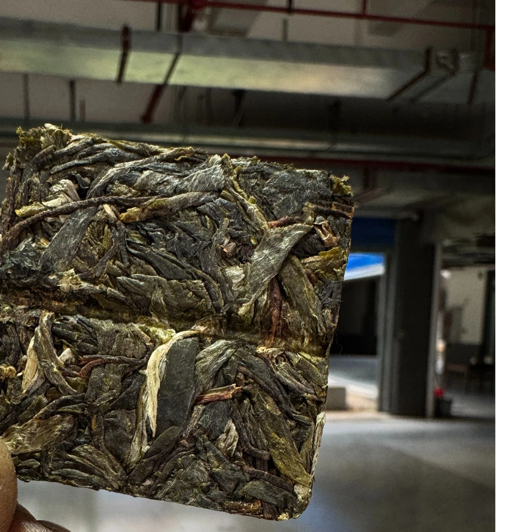 2024年忙肺古树8g小方 片 普洱茶生茶