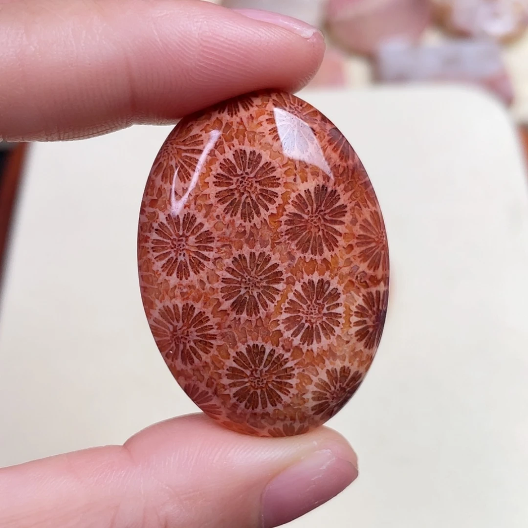 【闪购商品】未镶嵌吊坠(赠链)硅化玉看*