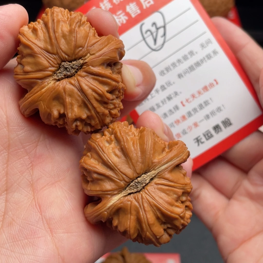 文玩核桃把件白狮子41