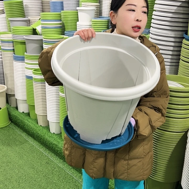 清仓青山口40高34灰白3只带托