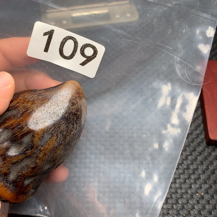 大果紫檀（缅甸花梨）