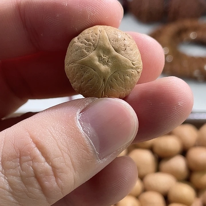 手串凤眼菩提尼泊尔小凤眼