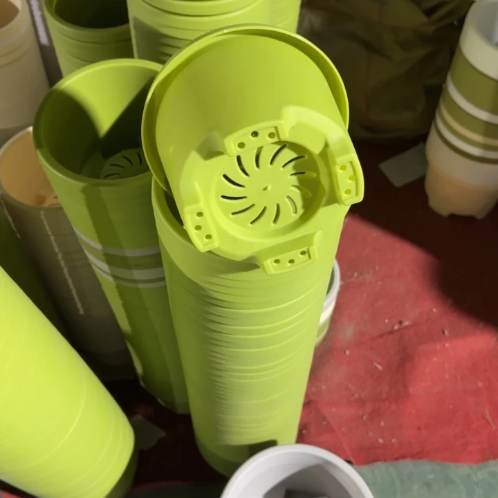 球根1号10个果绿色的口径17