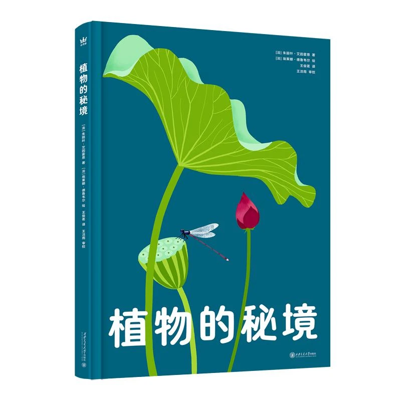 植物的秘境 7-10岁精装 科普图画书