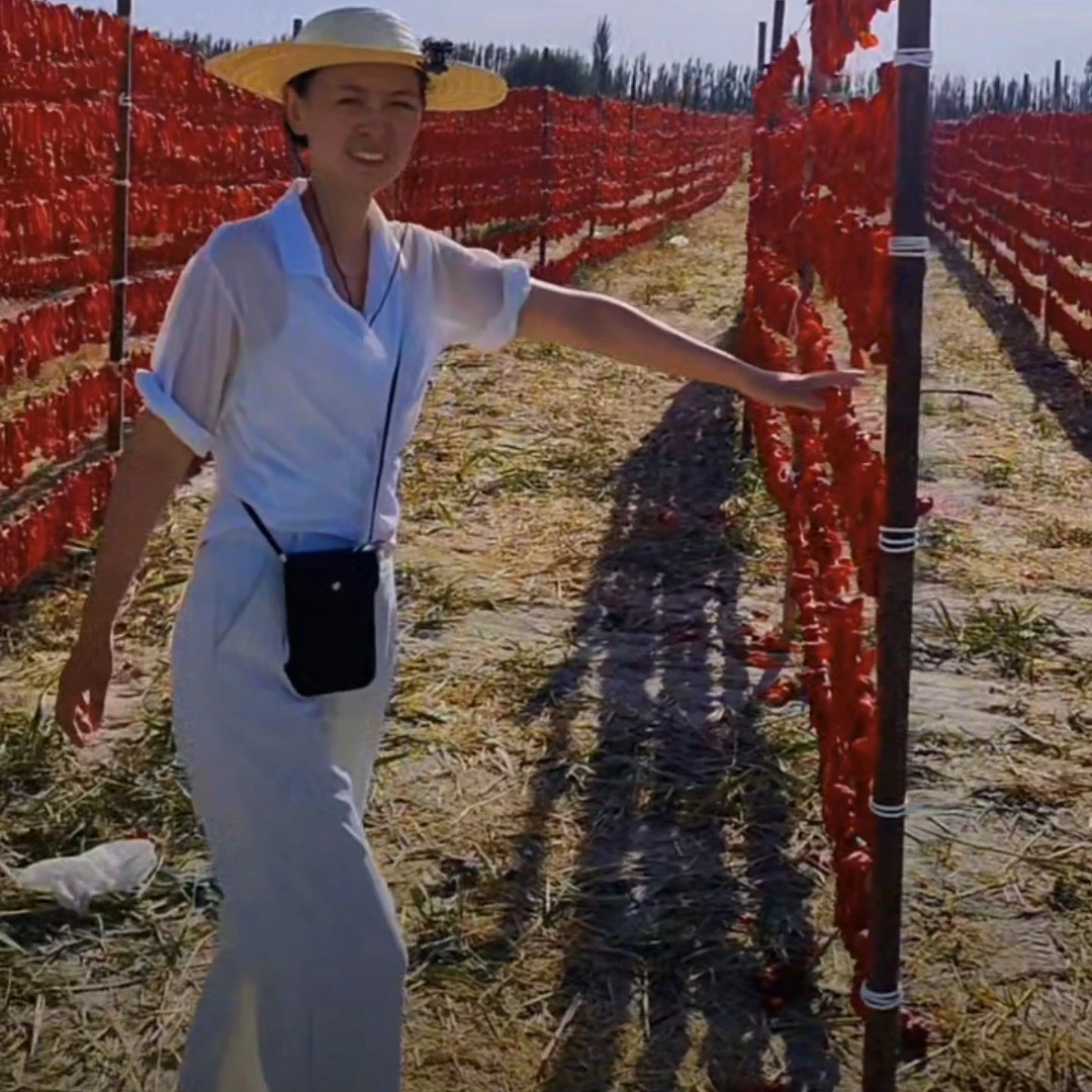 2025新疆焉耆头茬肉辣皮子辣椒厚肉正宗新疆辣皮子新疆特产干辣椒