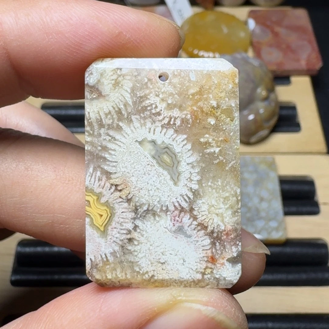 硅化珊瑚(珊瑚玉)纯天然色有机玉石未镶嵌