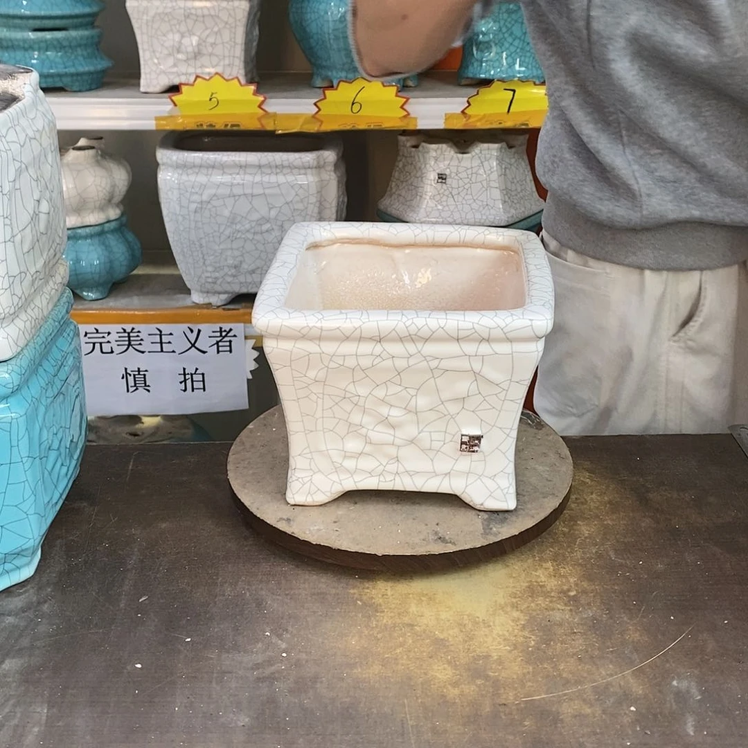 知**乐瑕疵花盆花盆里的花