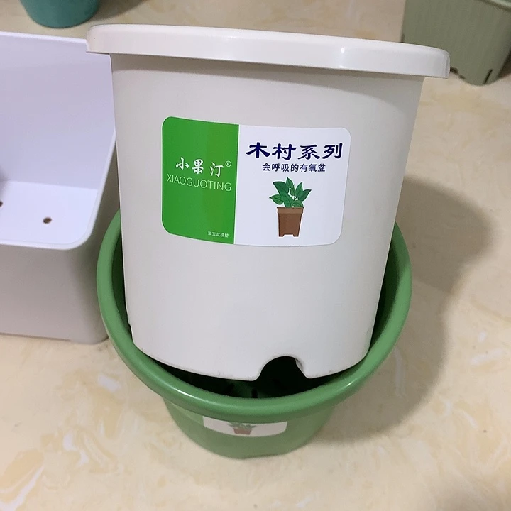 小果汀15口白10个