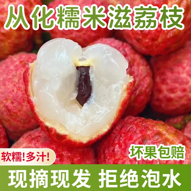 【顺丰】正宗从化糯米糍荔枝新鲜采摘多汁广东省外拍
