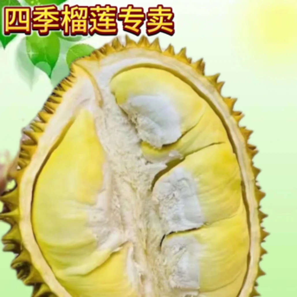 果切现剥新鲜泰国树熟金枕榴莲肉1份500g起核小大随机