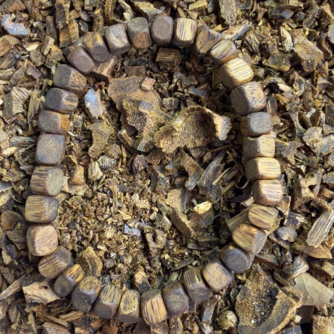 沉香沉香碎屑0.6方糖单圈4克