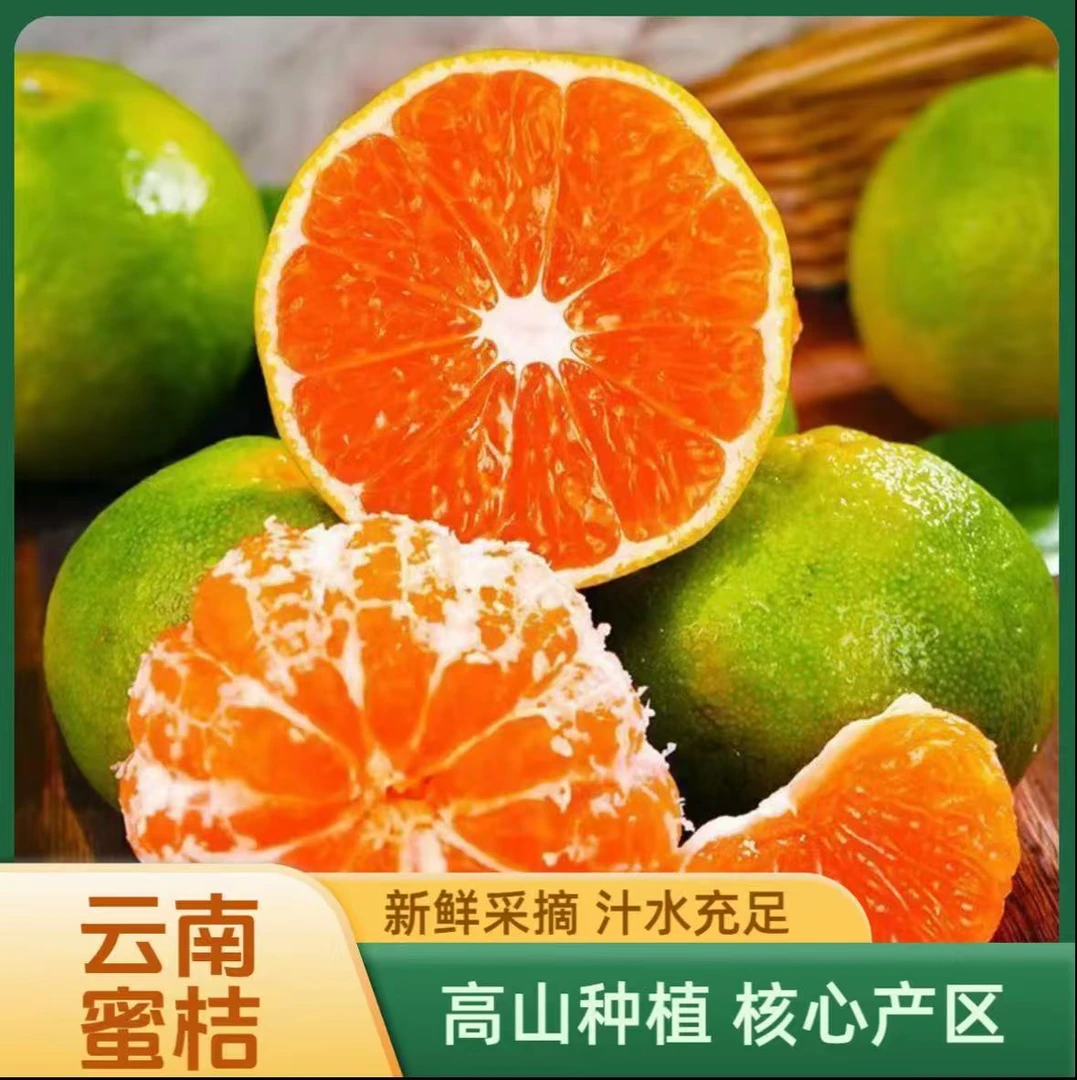 【云南文山无籽蜜桔】皮薄多汁酸甜可口青皮桔子时令新鲜水果