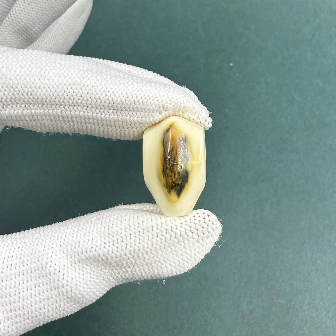 M1531天然猛犸牙 鲨鱼背三通 支持鉴定 假一罚四