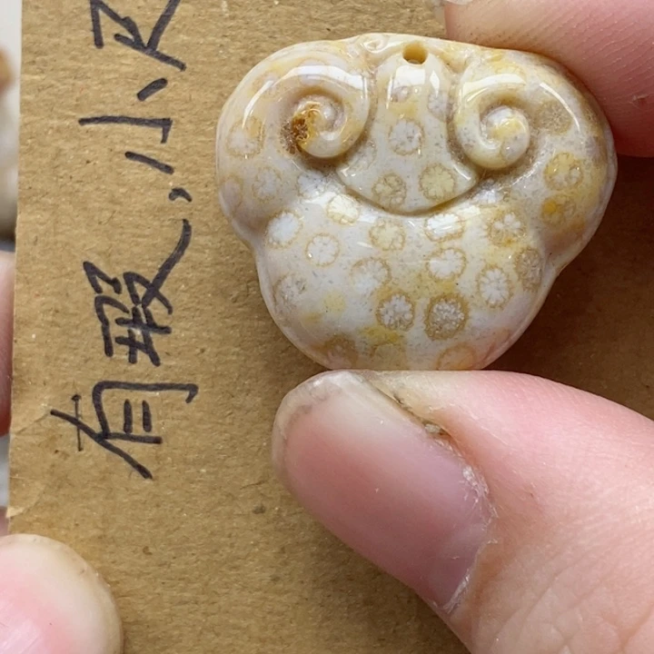 颈饰未镶嵌硅化珊瑚（珊瑚玉）