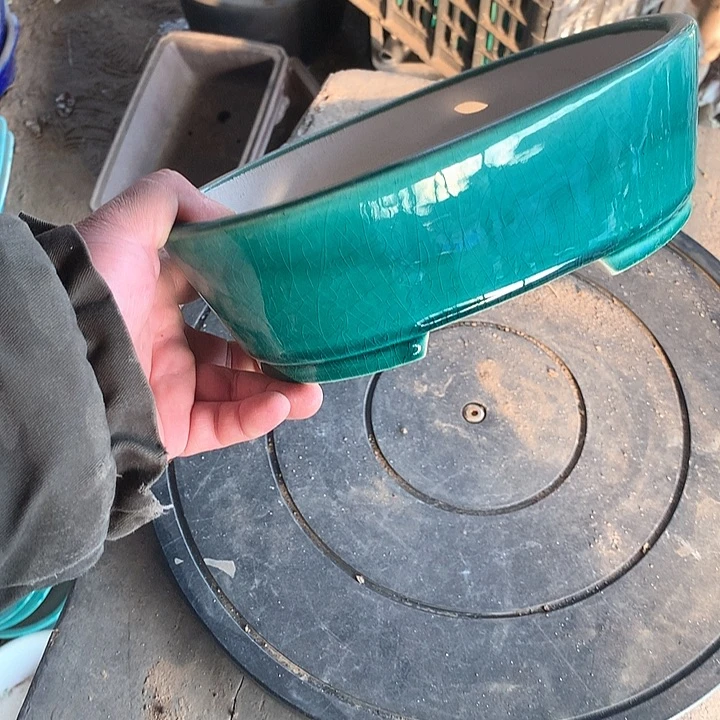 紫砂哈哈真的超级可爱哈哈哈哈哈