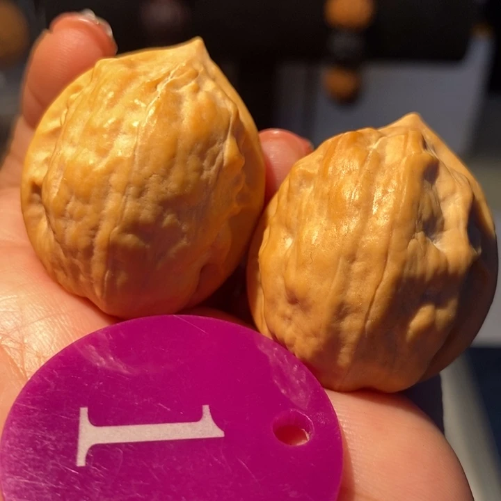 2号链接马头琴33尺寸
