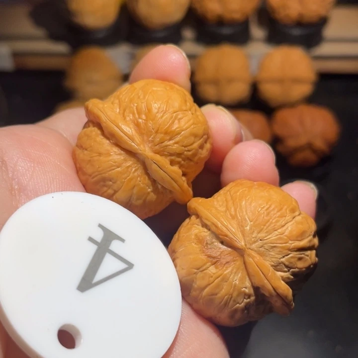 铃铛31尺寸核桃。