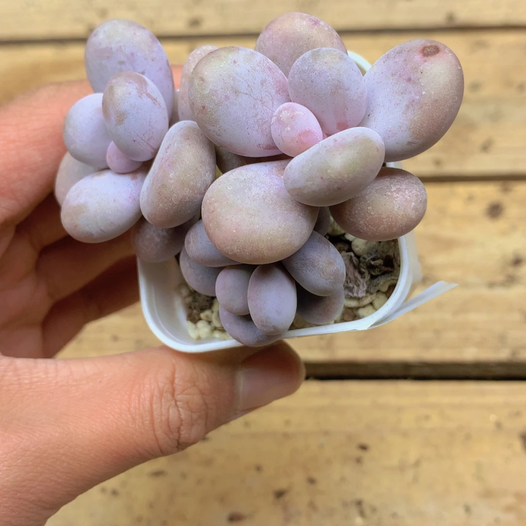 我要睡觉啦啊你也052