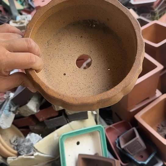 在家里等车回家就能回家