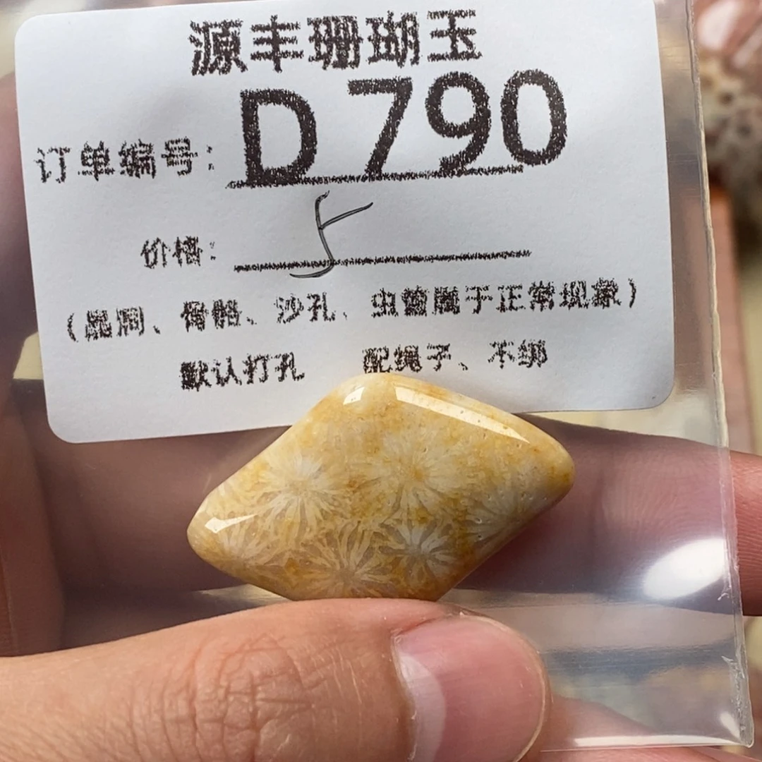岸***芷硅化玉未镶嵌颈饰