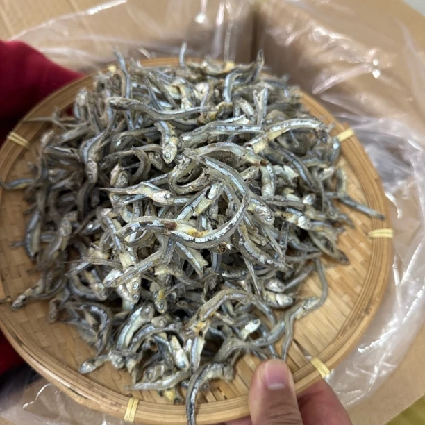 生晒海燕鱼仔淡干无盐天然海鲜干货渔民自晒