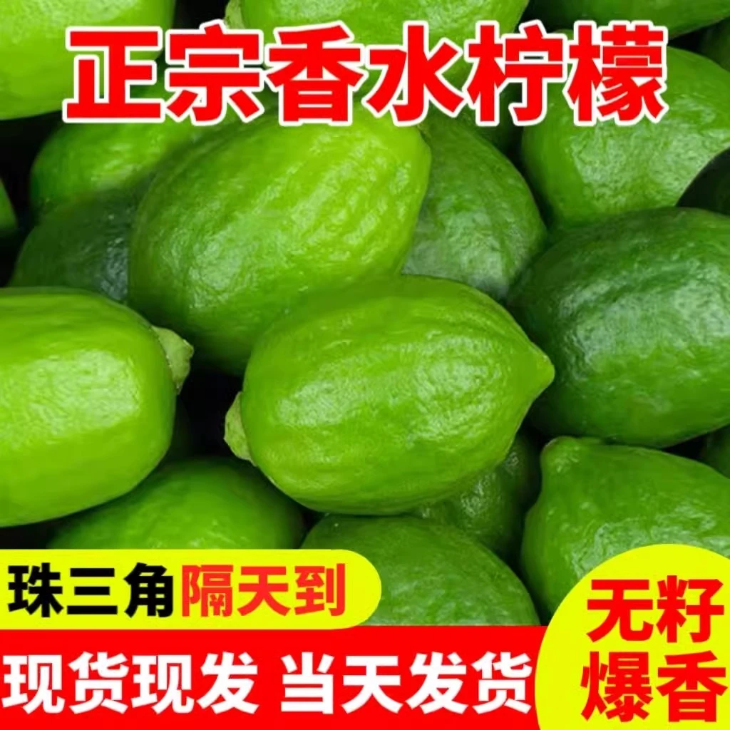 广东香水柠檬正宗当季新鲜青柠檬一级无籽大果现摘水果奶茶店专用