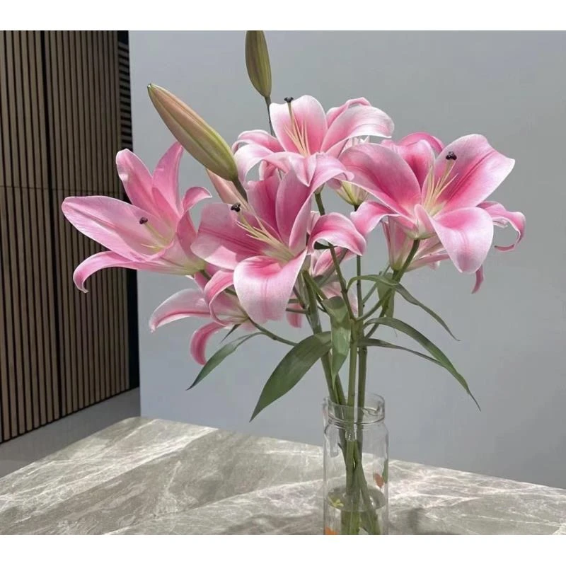 普拉芬多香水百合9-10朵