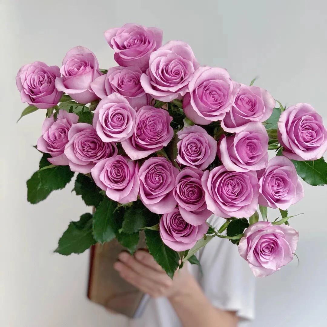 【玫瑰组合】紫霞/影星-单头玫瑰(注意:带包装醒花哦~)