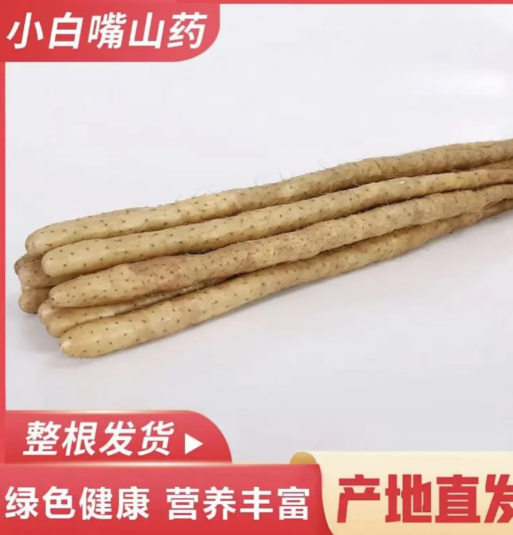 【彦之农品】正宗蠡县小白嘴山药糯香甜皮薄如纸产地现发试吃1斤