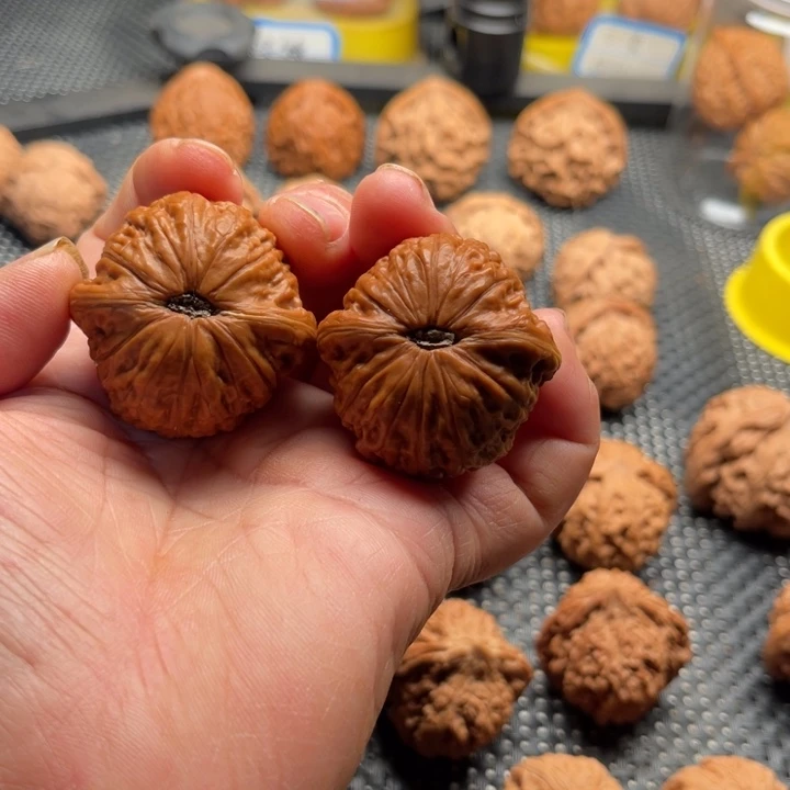 文玩核桃把件全品铁锤38