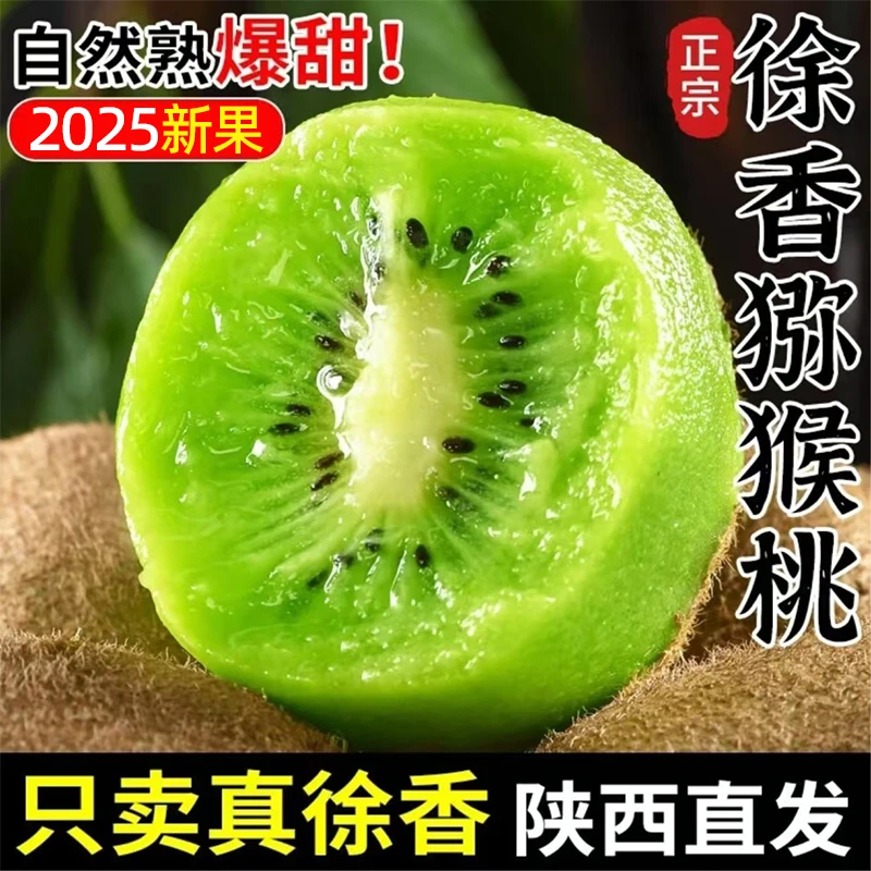 陕西周至2025徐香猕猴桃2025年现摘现发